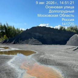 Долгопрудненцы требуют подробной публикации протоколов экспертизы и ее методик Долгопрудненцы требуют подробной публикации протоколов экспертизы и ее методик
